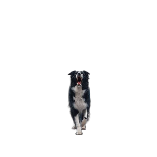 animal, staff, creature, robot transparent PNG cut-out