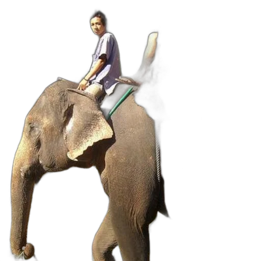 animal, creature, staff, 3d render transparent PNG cut-out