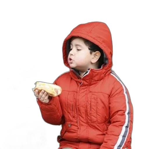 jacket, food, face, animal transparent PNG cut-out