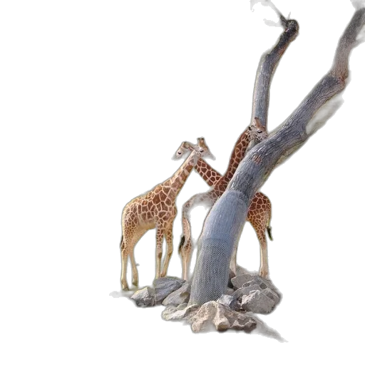 tree, animal, creature, staff transparent PNG cut-out