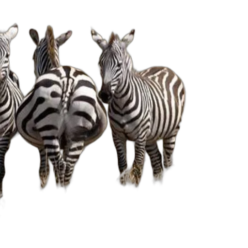 animal, 3d render, photorealistic, concept art transparent PNG cut-out