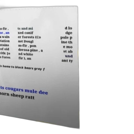 text-based, image, list, trees transparent PNG cut-out
