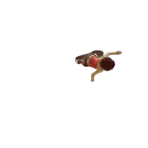 animal, food, creature, jewelry transparent PNG cut-out