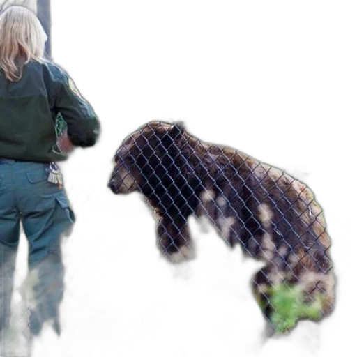animal, creature, jacket, concept art transparent PNG cut-out