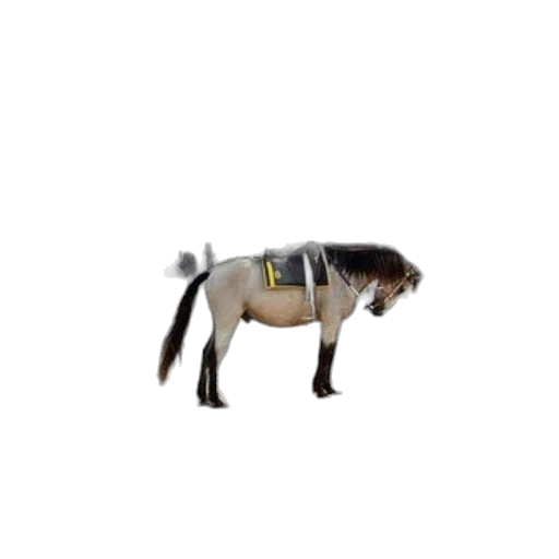animal, creature, jacket, staff transparent PNG cut-out