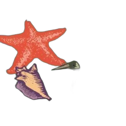 jewelry, staff, shoes, umbrella transparent PNG cut-out
