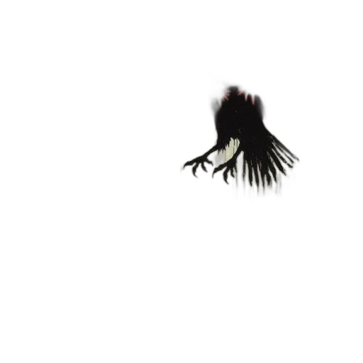 animal, hair, creature, dragon transparent PNG cut-out