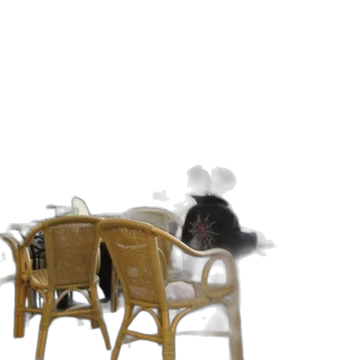 furniture, animal, hat, food transparent PNG cut-out