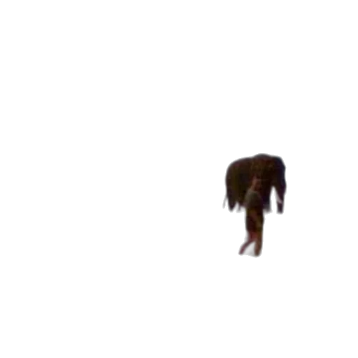 creature, animal, hair, shoes transparent PNG cut-out