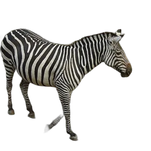 animal, creature, furniture, jewelry transparent PNG cut-out