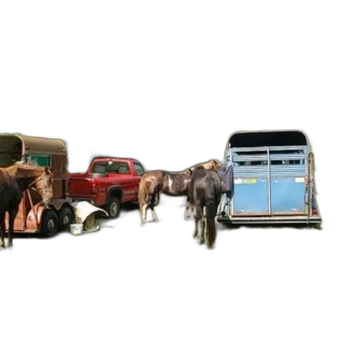 car, animal, furniture, staff transparent PNG cut-out