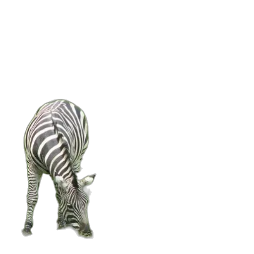 animal, creature, staff, robot transparent PNG cut-out