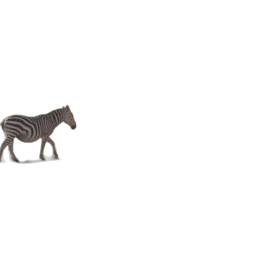 animal, creature, furniture, robot transparent PNG cut-out