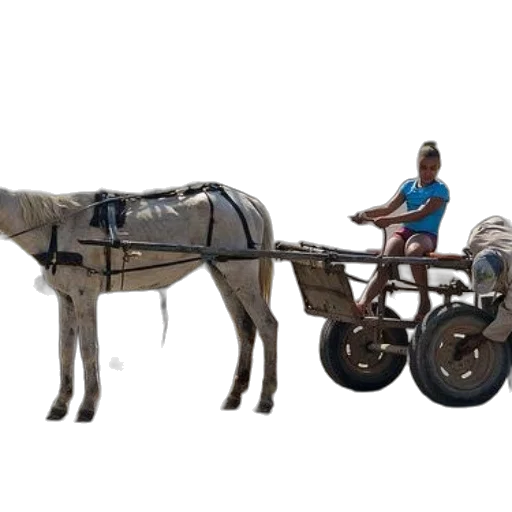 car, animal, robot, weapon transparent PNG cut-out