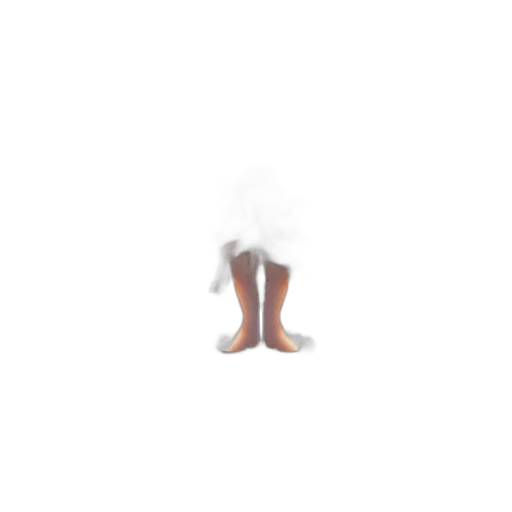 shoes, hair, crown, dress transparent PNG cut-out