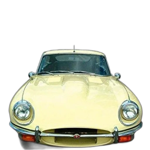 car, crown, face, animal transparent PNG cut-out