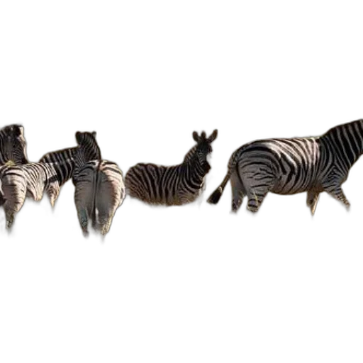 animal, jewelry, furniture, 3d render transparent PNG cut-out