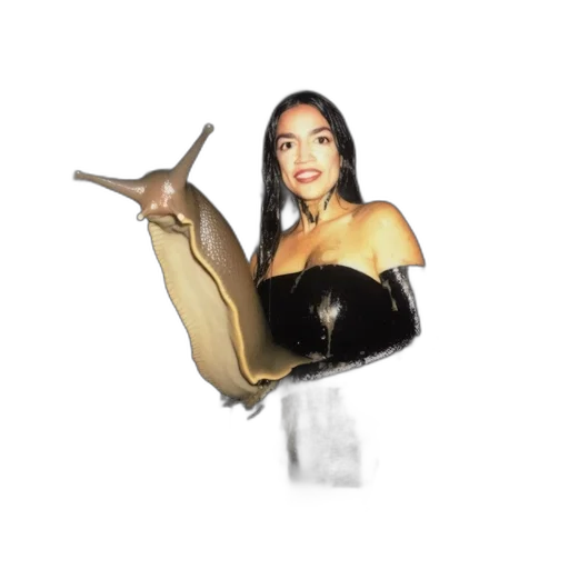 animal, creature, shoes, dress transparent PNG cut-out