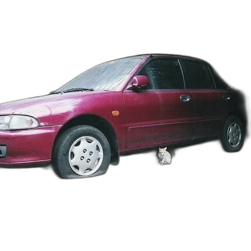 car, animal, staff, photorealistic transparent PNG cut-out