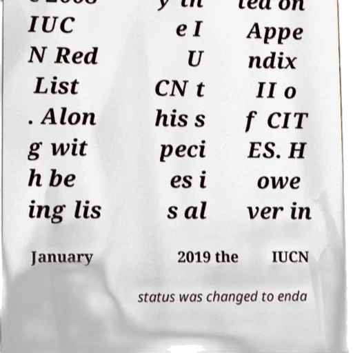 image, shows, text, discussing transparent PNG cut-out