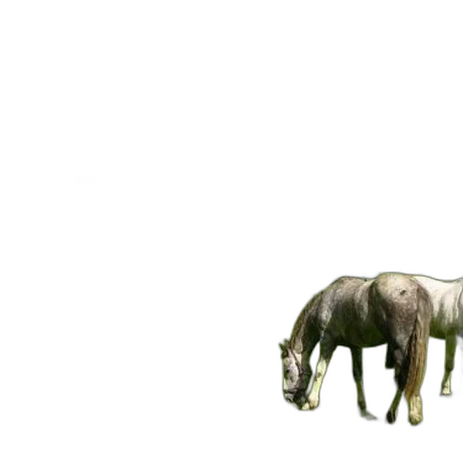 animal, creature, furniture, crown transparent PNG cut-out