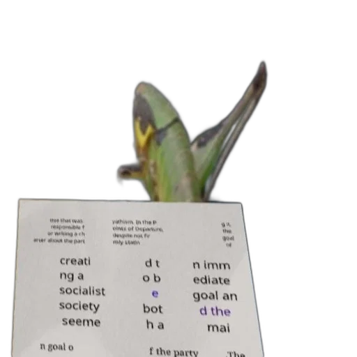 dragon, animal, creature, flower transparent PNG cut-out