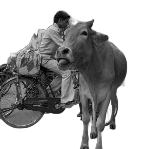 animal, car, photorealistic, pencil sketch transparent PNG cut-out
