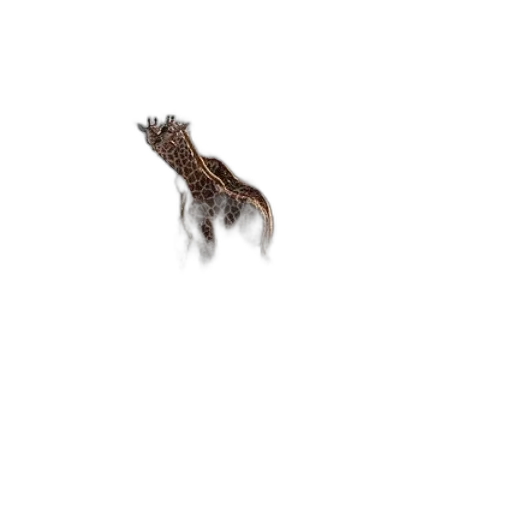 animal, creature, dragon, hair transparent PNG cut-out