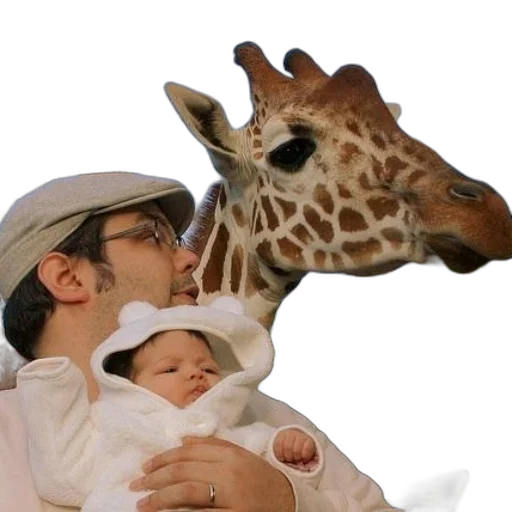 animal, hat, creature, photorealistic transparent PNG cut-out