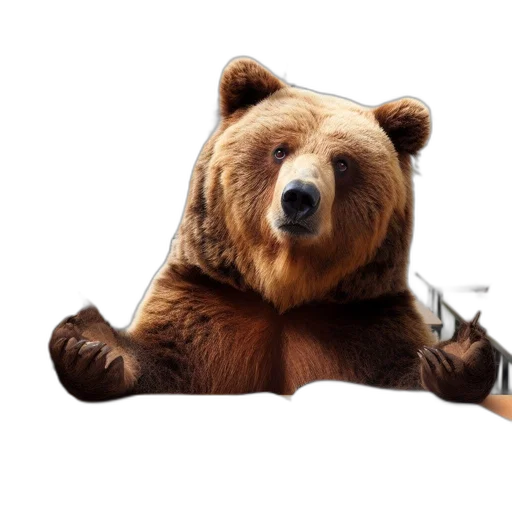 animal, furniture, weapon, bottle transparent PNG cut-out