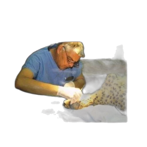 staff, mask, hair, animal transparent PNG cut-out
