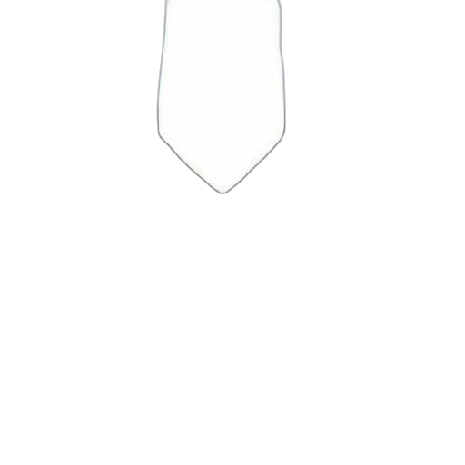 staff, jewelry, dress, mask transparent PNG cut-out