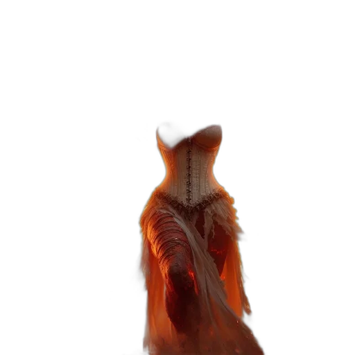 animal, dress, creature, jacket transparent PNG cut-out