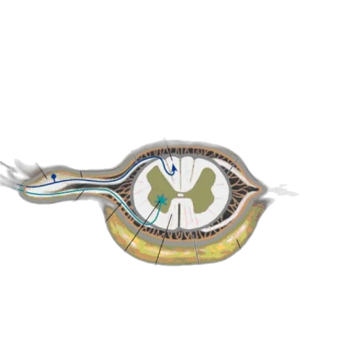 jewelry, staff, face, mask transparent PNG cut-out