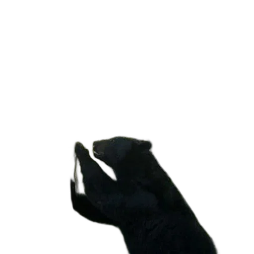 animal, staff, creature, mask transparent PNG cut-out