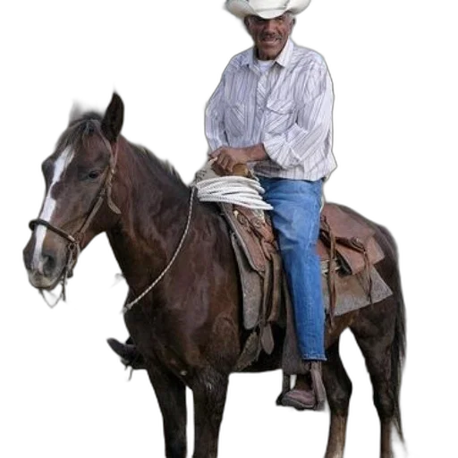 hat, animal, staff, jacket transparent PNG cut-out