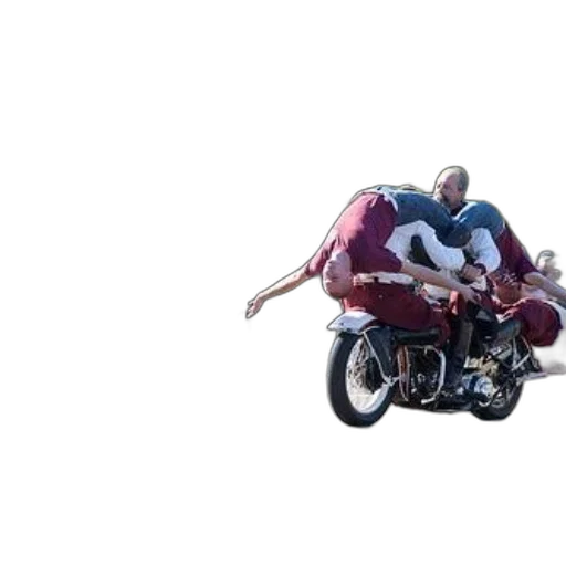 car, jacket, animal, creature transparent PNG cut-out