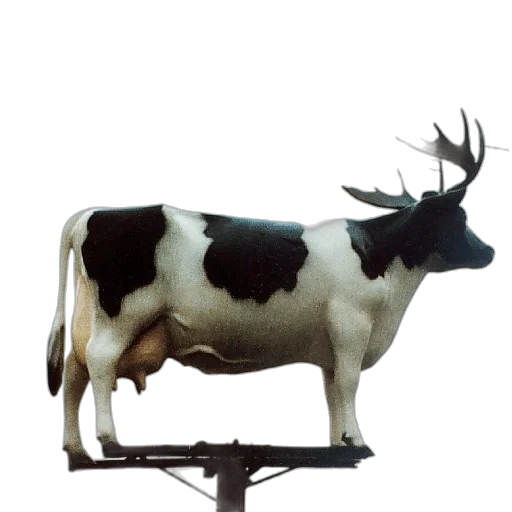 animal, furniture, crown, jewelry transparent PNG cut-out