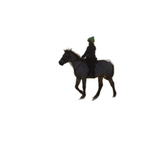 hat, bottle, animal, staff transparent PNG cut-out