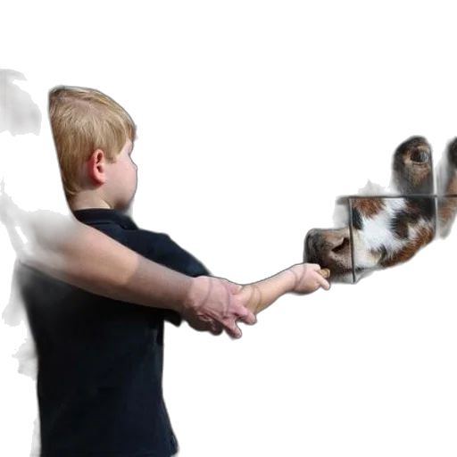 weapon, staff, animal, hair transparent PNG cut-out