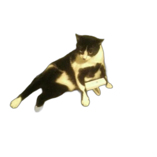 staff, animal, creature, weapon transparent PNG cut-out