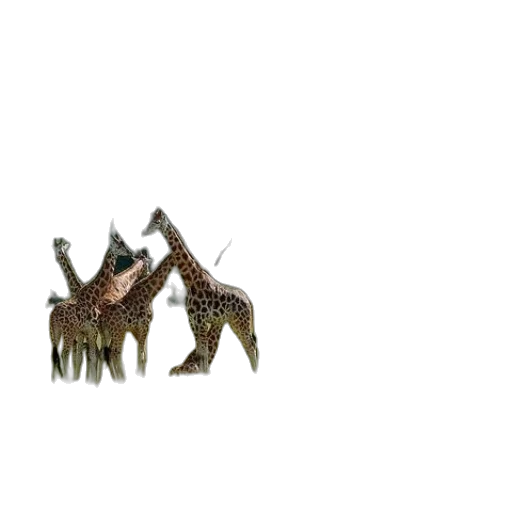 animal, creature, dragon, robot transparent PNG cut-out