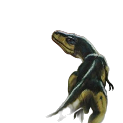 creature, animal, dragon, staff transparent PNG cut-out