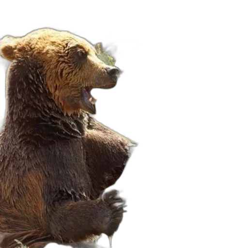 3d render, concept art, two, brown transparent PNG cut-out