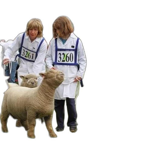 animal, three, people, wearing transparent PNG cut-out