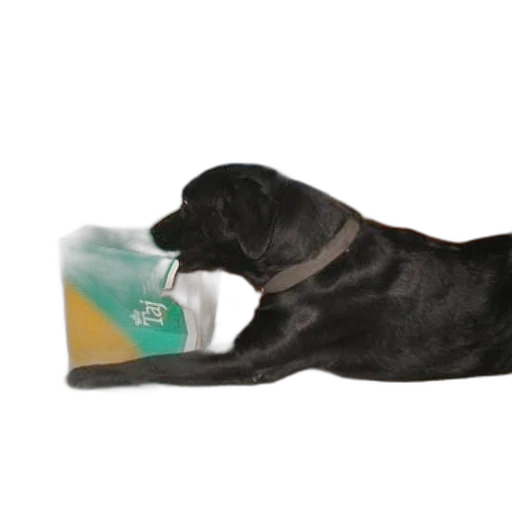 bottle, food, shoes, photorealistic transparent PNG cut-out