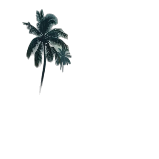 tree, umbrella, hat, weapon transparent PNG cut-out