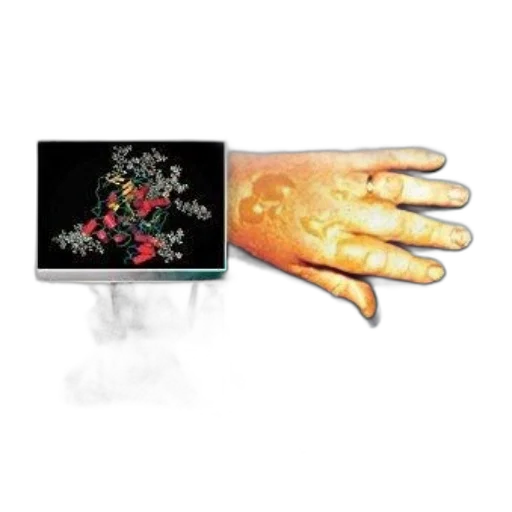 jewelry, crown, weapon, flower transparent PNG cut-out