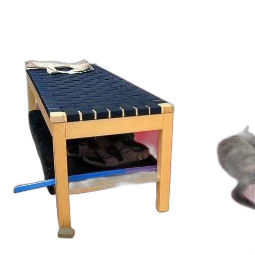 furniture, shoes, animal, hat transparent PNG cut-out