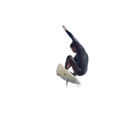 animal, creature, 3d render, surfer transparent PNG cut-out